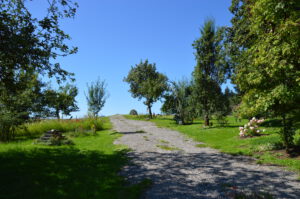 Kiesweg am Campinggarten mit Blick auf Bäume
