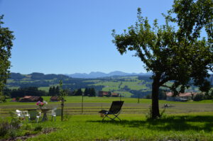 Ausblick auf die Berge vom Campinggarten in Scheidegg
