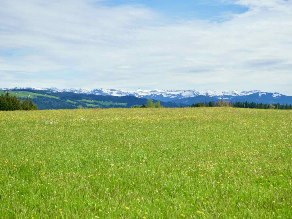 Ferienwohnung-Alex-Bergblick-Bergpanorama-Weitblick-Wiese