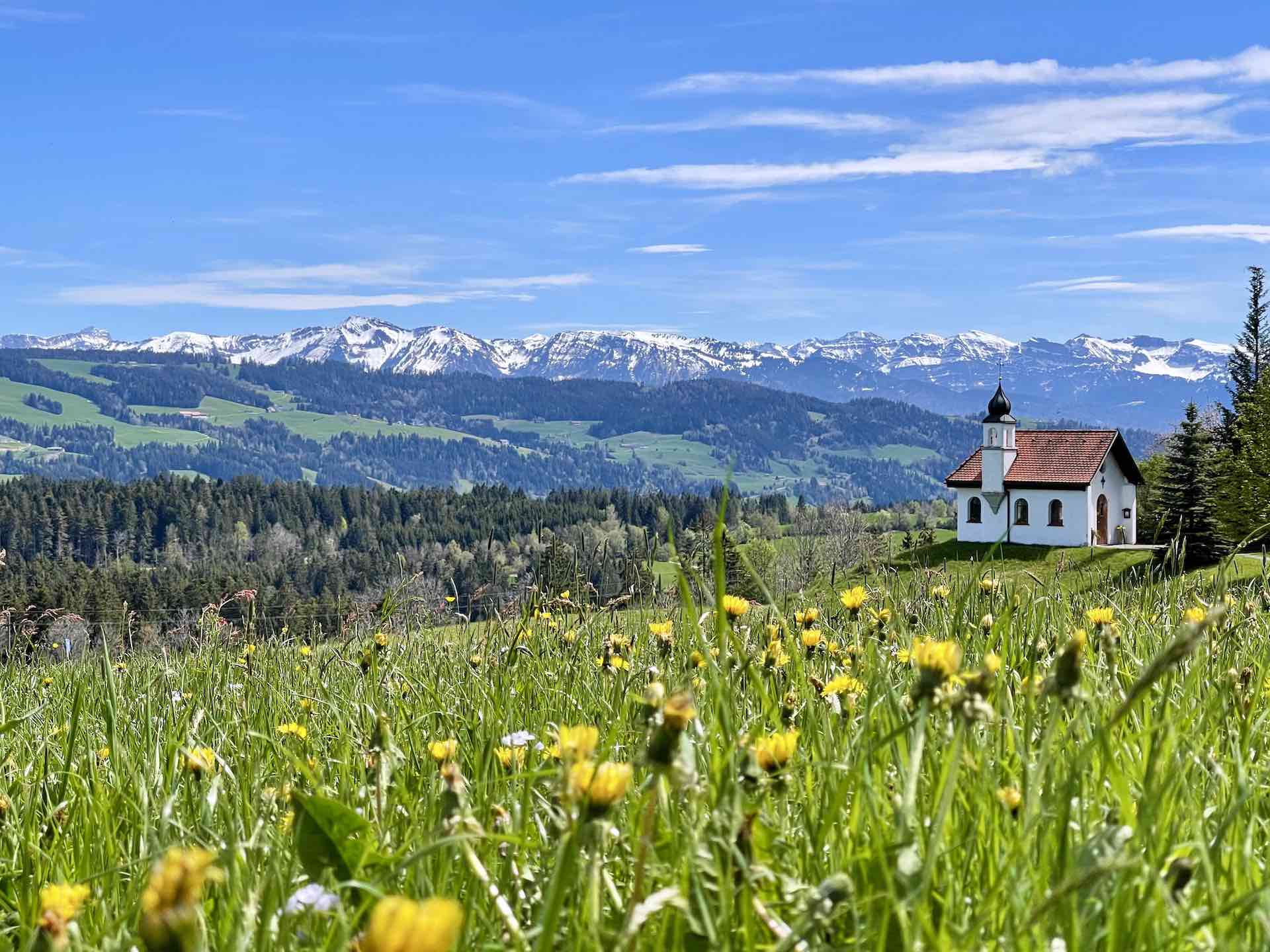 Traumhafter Blick über Blumenwiese zur Kapelle